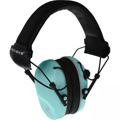 Radians R3220ECS R3200 Dual Mic Electronic Earmuff, Aqua/Grey, 1 Pack