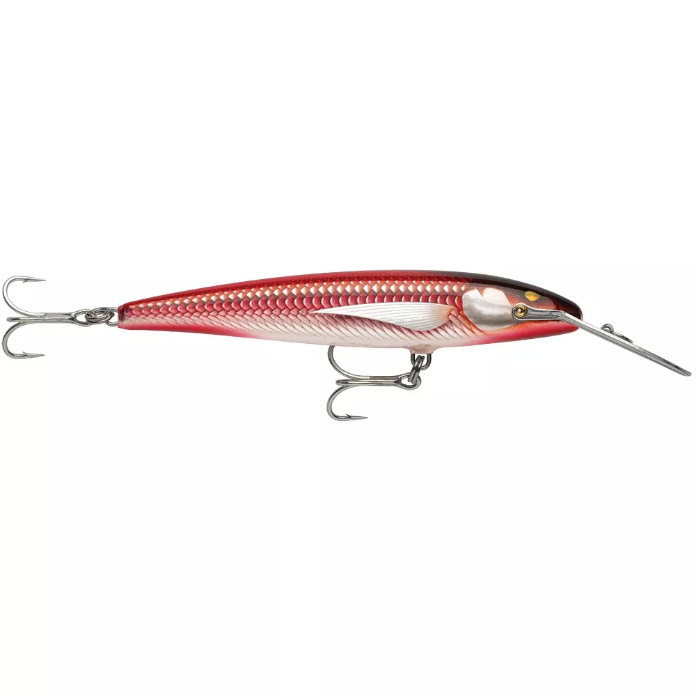 Rapala CountDown Magnum Elite 145 - 5-3/4" - Armored Real Red Bait [CDMAGE145AMRRB]