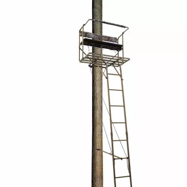 Rhino 2-Person 17.5 ft. Ladder Stand
