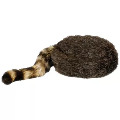 Ridgeway Dan'L Boone Coontail Cap Small