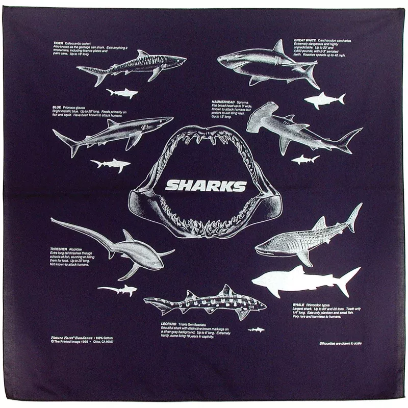 Sharks Bandana