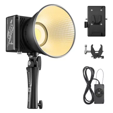 SIRUI C300XII 310W Portable LED Handheld Light (C300XII)