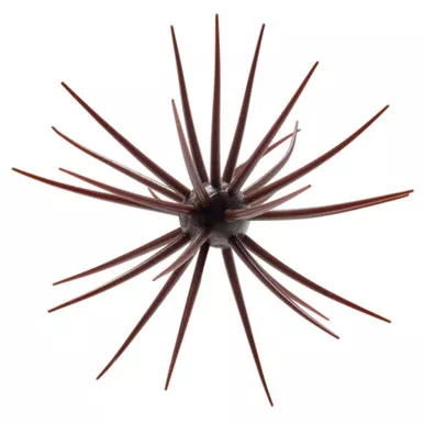 Spro COIKE 13mm Soft Creature Bait Green Pumpkin