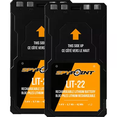 SpyPoint 05538 LIT 22 Rechargeable Lithium Battery Pack, Black, Twin Pack