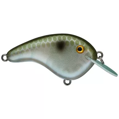 Strike King Chick Magnet Jr. Flat Sided Crankbait Green Gizzard Shad 1/4OZ 2-4
