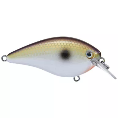 Strike King Hard Knock KVD Square Bill Crankbait