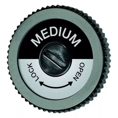 SWIX TA3013M EVO Spare Disc Medium (TA3013M)