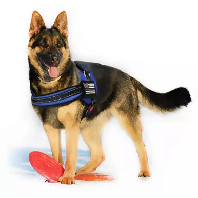 Thin Blue Line Dog Harness with Patch