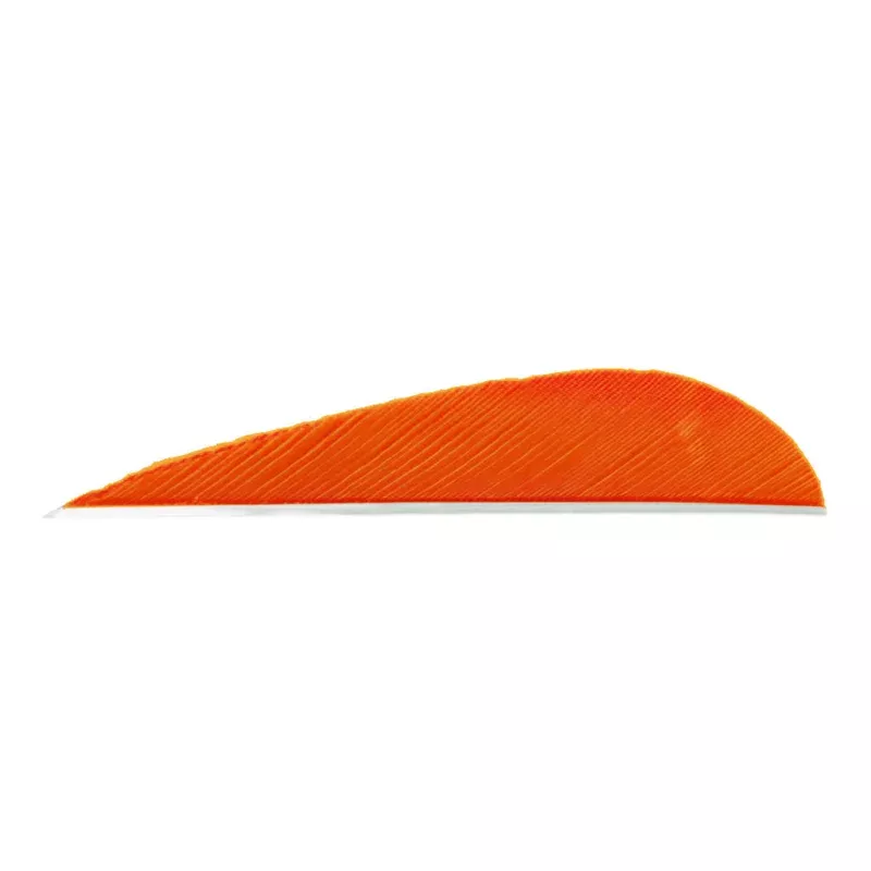 Trueflight Parabolic Feathers Orange 3 in. LW 100 pk.