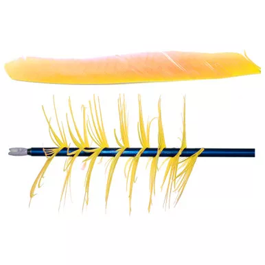 Trueflight Spiral Wrap Flu-Flu Feathers, Right Wing, 100 Pack