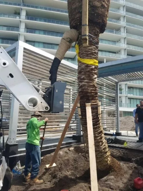 Virnig Tree Boom | Model TRBM | Overall Height 65.5″ | 15-25 GPM | For Skid Steers