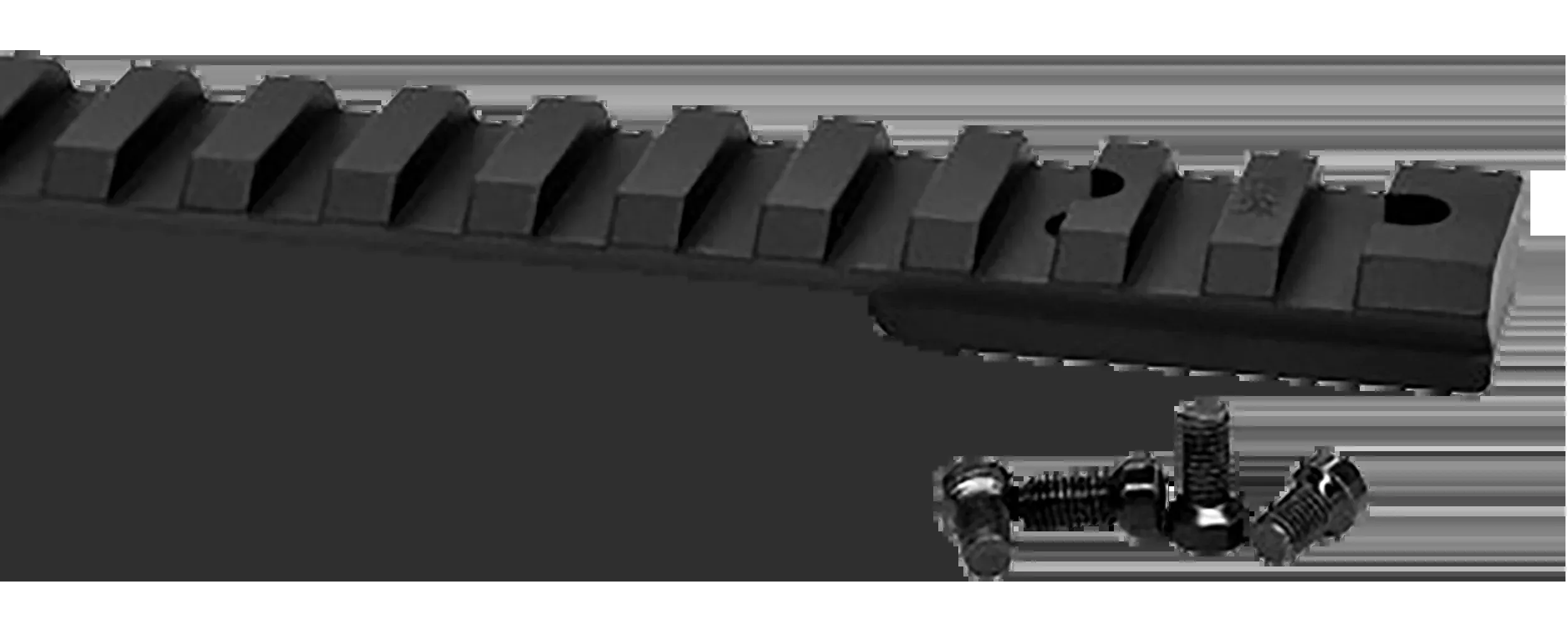 Warne Vapor Rail 15moa Ruger 10/22